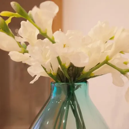 Casa de hóspedes Kasa 23 - Boutique