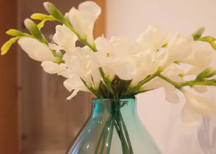 Penzion Kasa 23 - Boutique